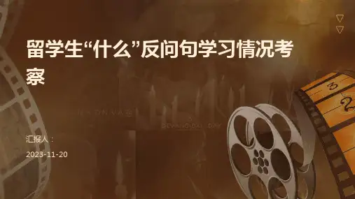 留学生“什么”反问句学习情况考察