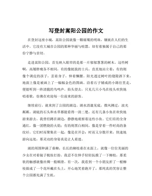 写登封嵩阳公园的作文
