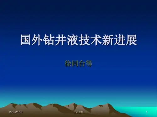 国外钻井液技术新进展.ppt