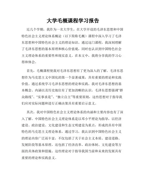 大学毛概课程学习报告