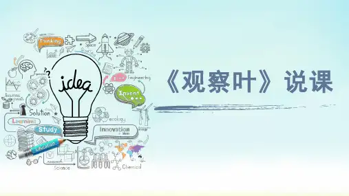 教科版一年级上册科学《观察叶》说课