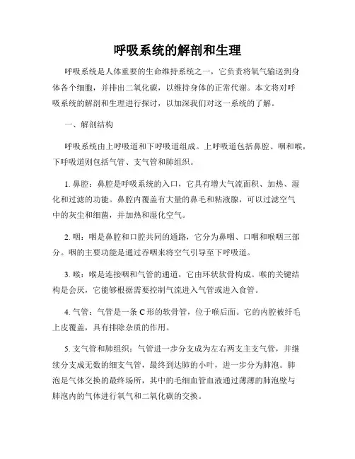 呼吸系统的解剖和生理