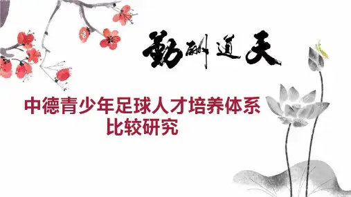 中德青少年足球人才培养体系比较研究