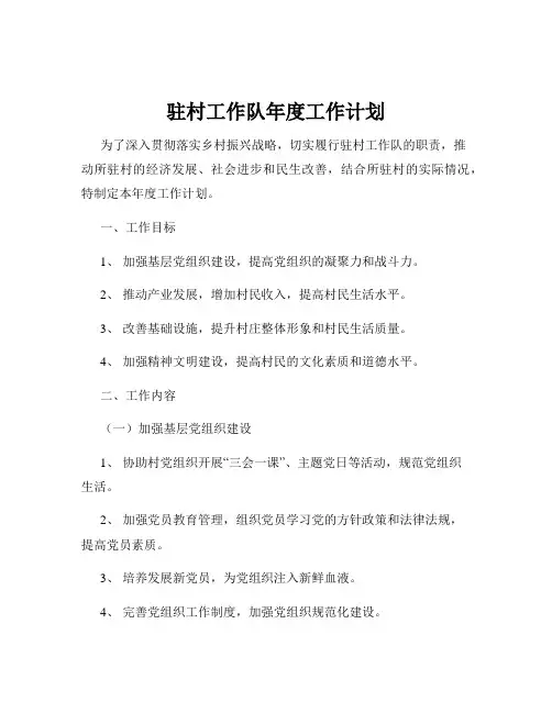 驻村工作队年度工作计划