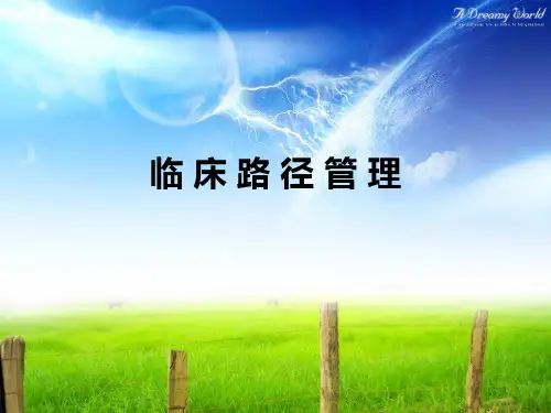 临床路径
