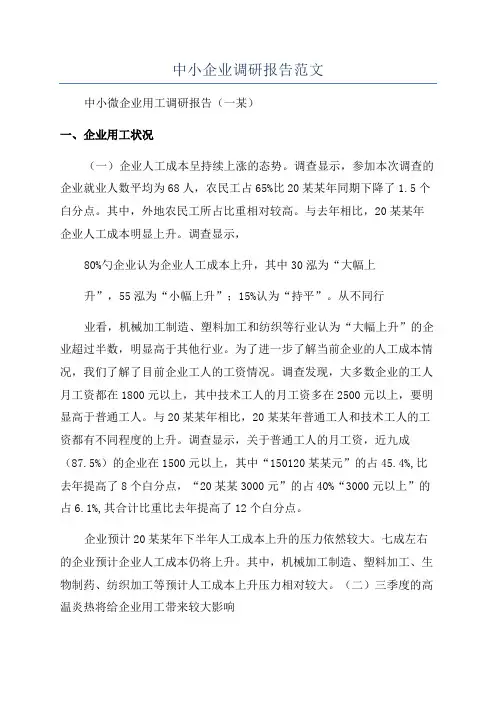 中小企业调研报告范文