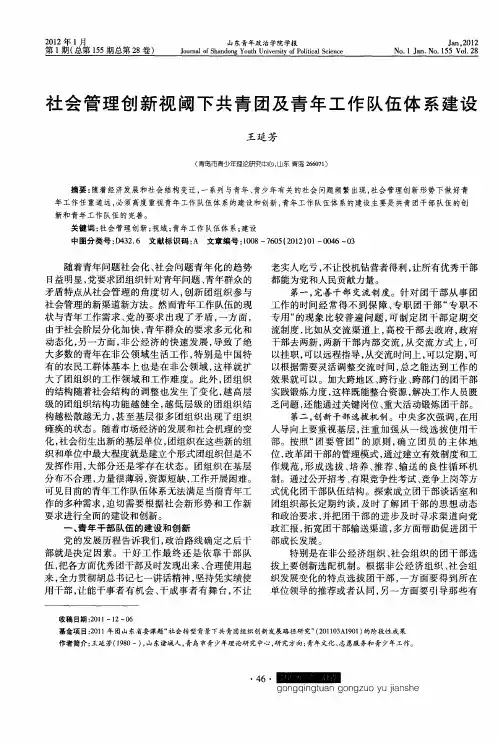 社会管理创新视阈下共青团及青年工作队伍体系建设