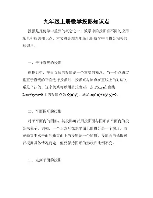 九年级上册数学投影知识点