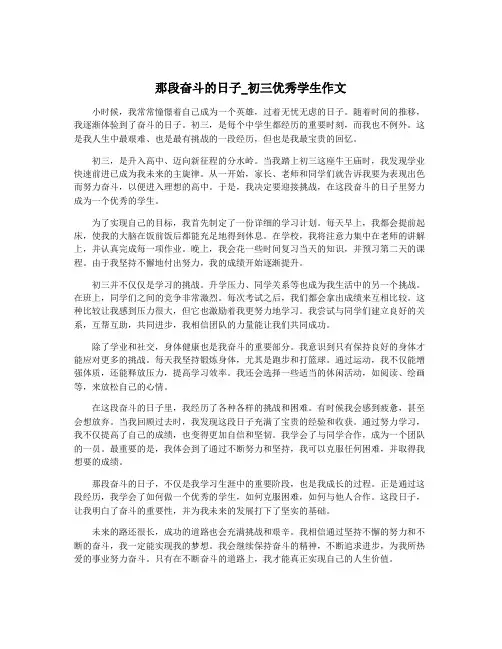 那段奋斗的日子_初三优秀学生作文