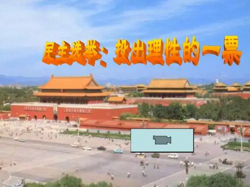 民主选举：投出理性一票