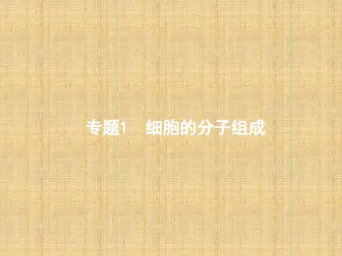 浙江选考高考生物1细胞的分子组成复习名师课件