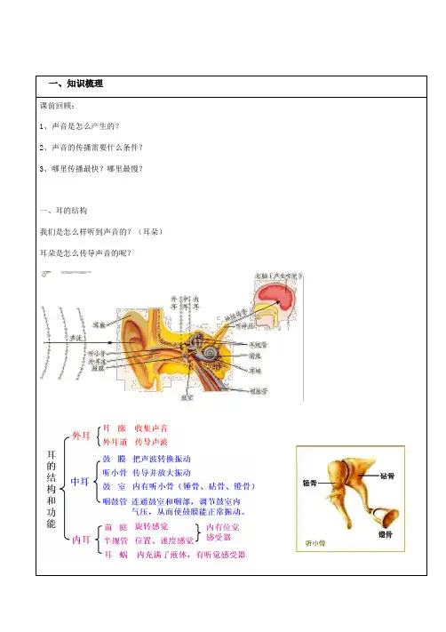 浙教版科学七下第二章第三节 耳和听觉 讲义
