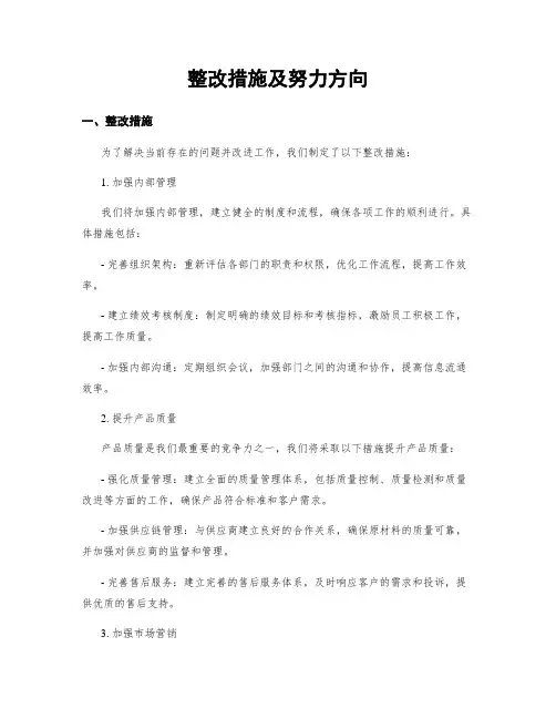 整改措施及努力方向