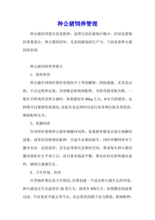 种公猪饲养管理
