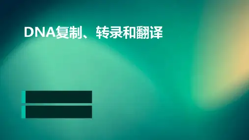 DNA复制、转录和翻译