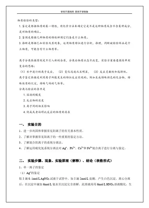  常见阳离子的分离与鉴定(Ⅰ)