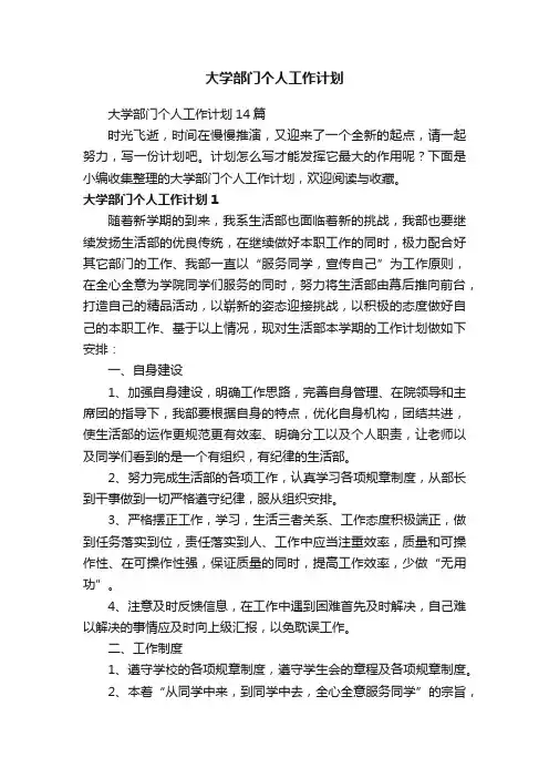 大学部门个人工作计划14篇