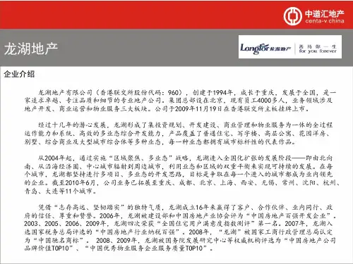 龙湖企业简介