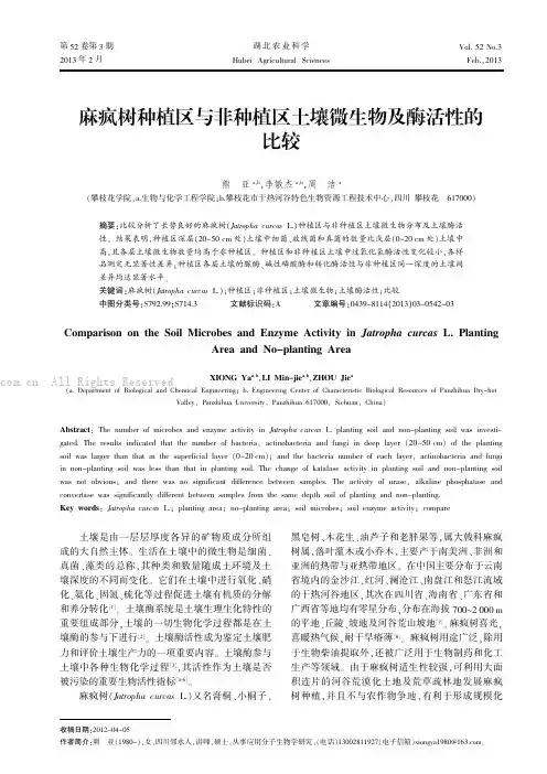 麻疯树种植区与非种植区土壤微生物及酶活性的比较