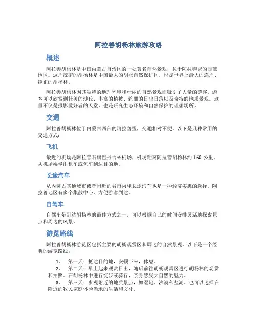 阿拉善胡杨林旅游攻略