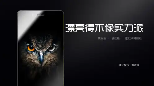 锤子坚果手机新品发布PPT模板