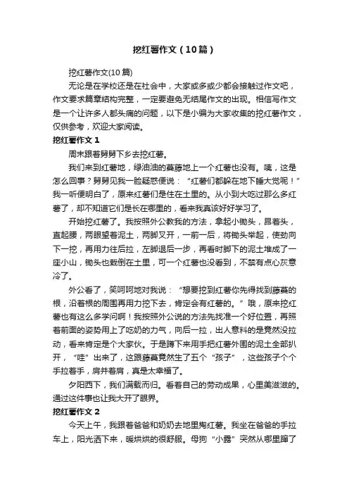 挖红薯作文（10篇）