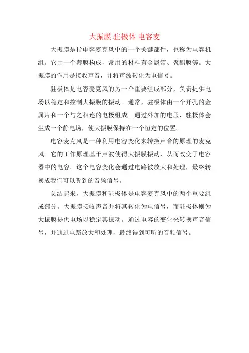 大振膜 驻极体 电容麦
