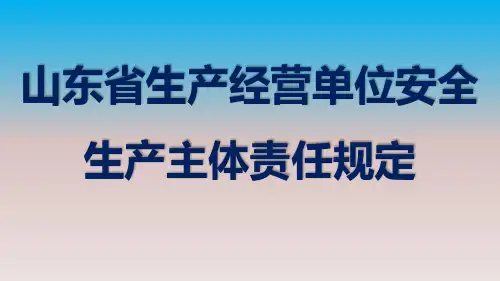 山东省生产经营单位安全生产主体责任(省政府311号令)