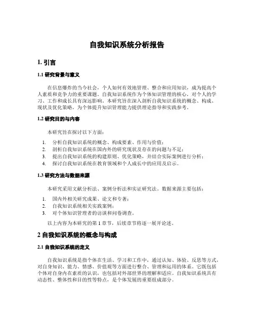 自我知识系统分析报告