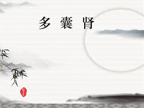(医学课件)多囊肾ppt演示课件