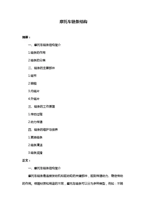 摩托车链条结构