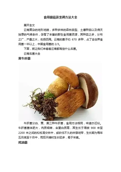 食用菌菇及烹调方法大全