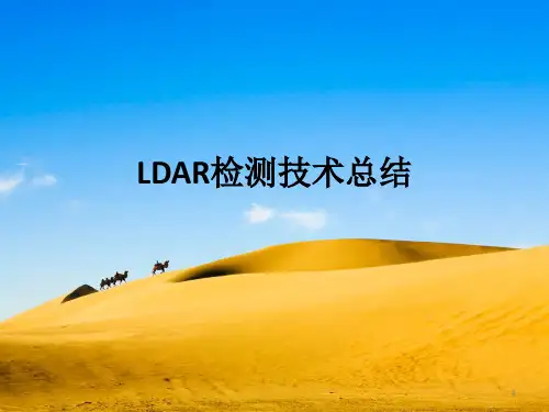 LDAR工作总结