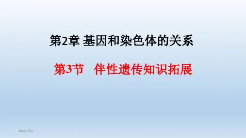高中生物人教版《伴性遗传》下载ppt1