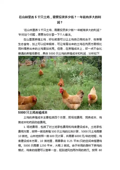 在山林里养5千只土鸡，需要投资多少钱？一年能有多大的利润？