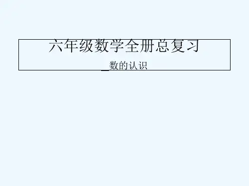 六年级数学全册总复习-PPT
