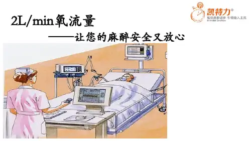 2Lmin氧流量 ——让您的麻醉安全又放心