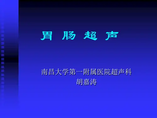 胃 肠 超 声