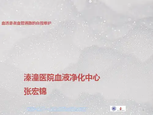 动静脉内瘘健康宣教新ppt课件