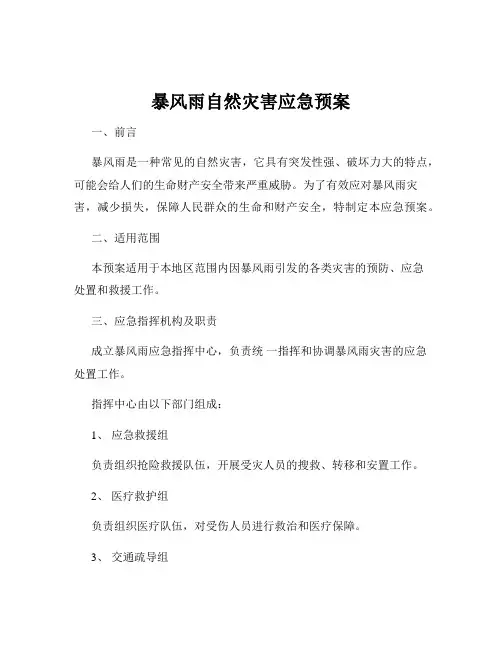 暴风雨自然灾害应急预案