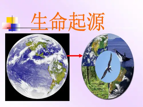 2.2《生命起源》课件2(共32张)