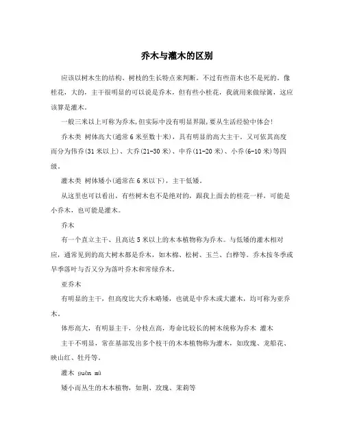 乔木与灌木的区别
