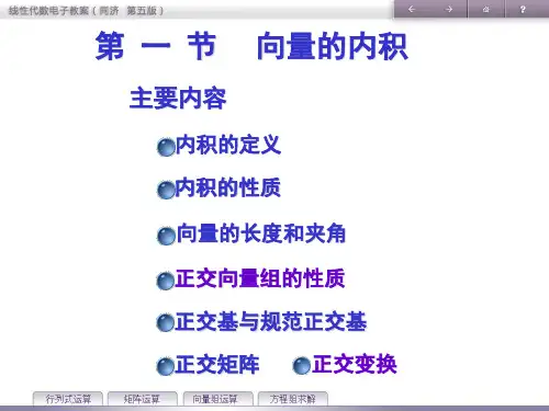 线性代数第五章第一节29页PPT