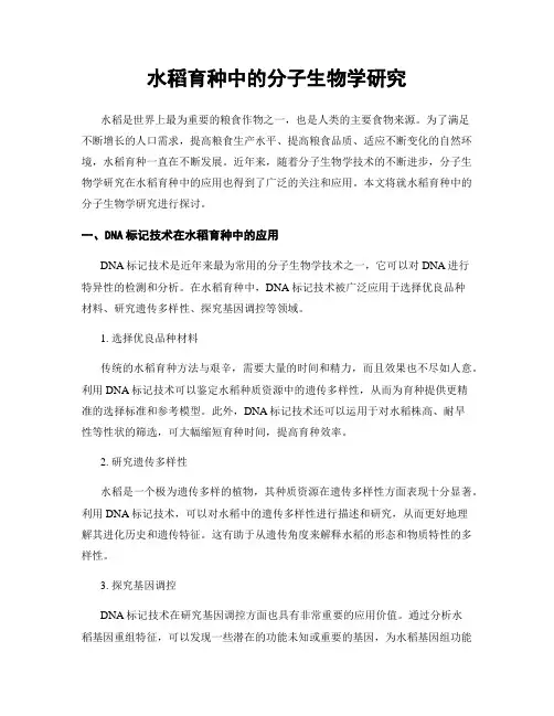 水稻育种中的分子生物学研究