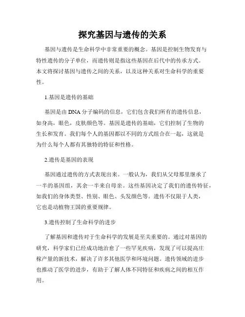 探究基因与遗传的关系