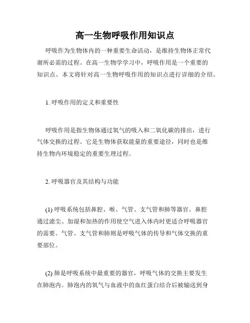 高一生物呼吸作用知识点