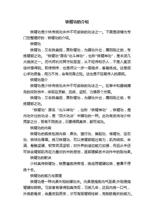 铁臂功的介绍