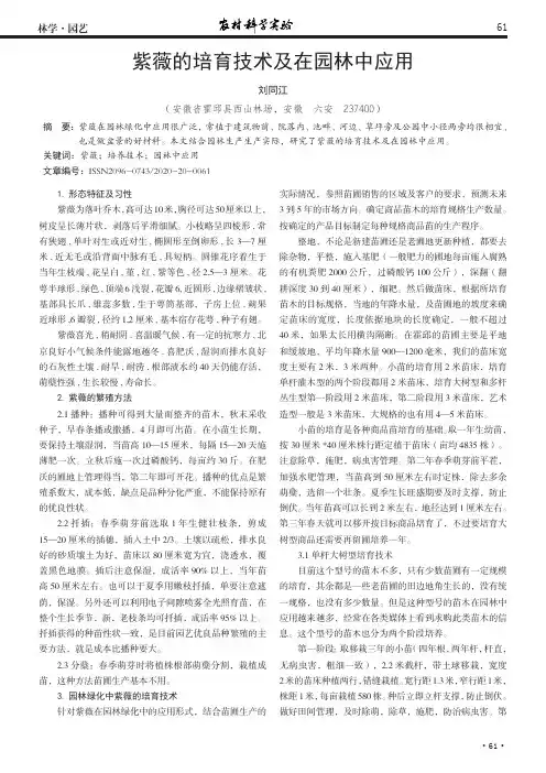紫薇的培育技术及在园林中应用