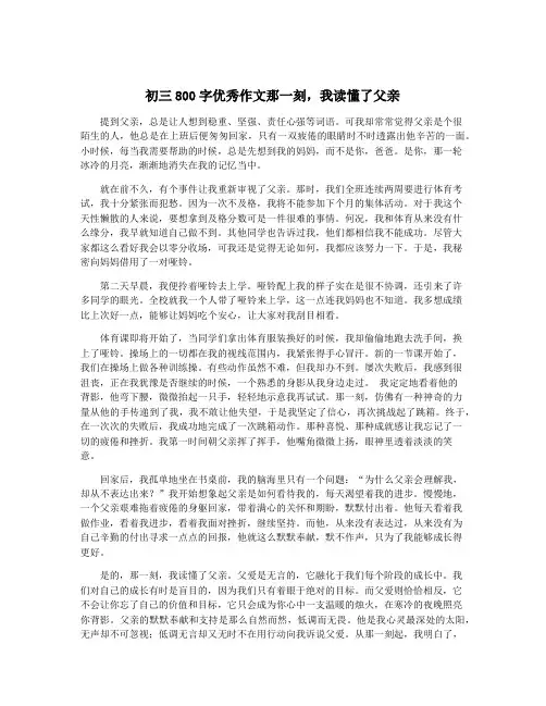 初三800字优秀作文那一刻,我读懂了父亲