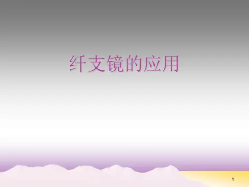 纤支镜的应用PPT课件